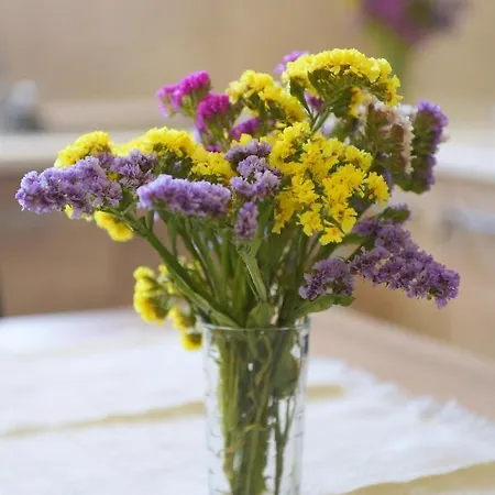 Happy Days Und Studio/penthouse *