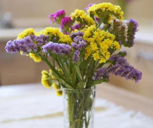 Happy Days Und Studio/penthouse *